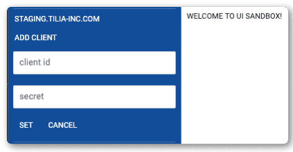 UI Sandbox developer credentials entry